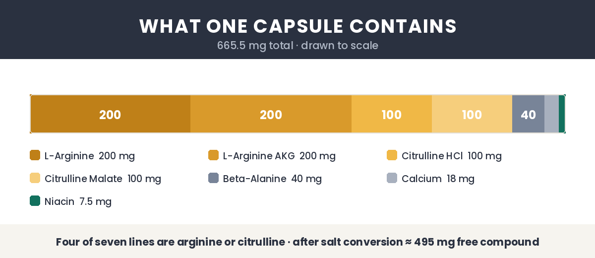 What one MemoHoney capsule contains, drawn to scale: 665.5 mg total across seven ingredients